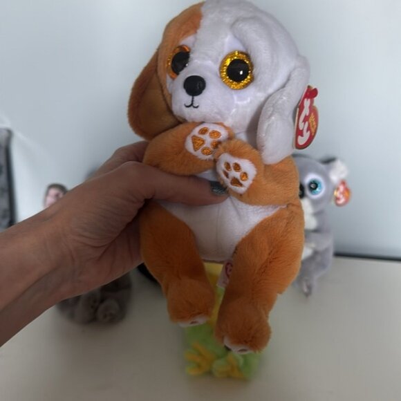 TY Beanie Bellies NWT Bundle Dogs Frog Skunk Koala - Picture 4 of 9